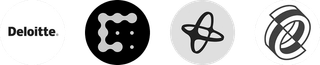 Trading volume and market performance chart displayed on the Loyal Tallyholdry platform